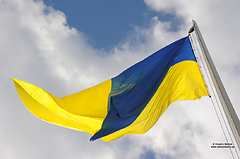 flag-1.jpg