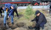 Новосибирская область: представители партии высадили деревья в честь присоединения к России четырёх новых регионов