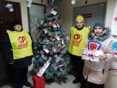Кемерово: активисты партии проводят новогоднюю акцию в поддержку бездомных животных