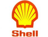  Shell    