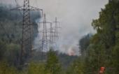 Лесные пожары охватывают сейчас 19 регионов России