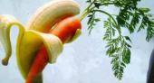 Почему российская морковь стоит дороже эквадорских бананов? Подборка политических анекдотов
