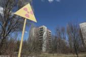 Чернобыль: чем опасна зона спустя 32 года после катастрофы
